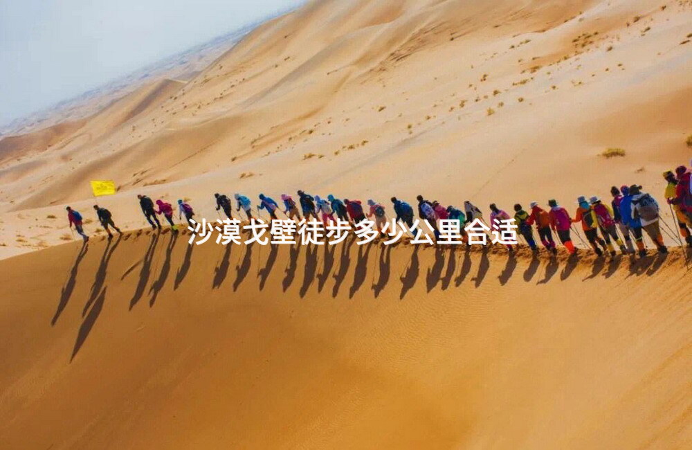 沙漠戈壁徒步多少公里合适