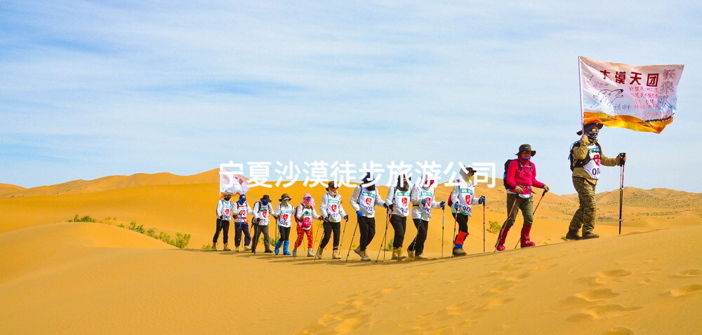 宁夏沙漠徒步旅游公司