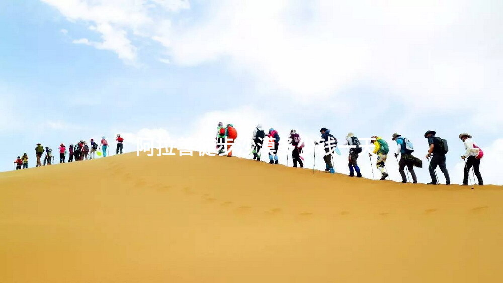 阿拉善徒步沙漠多少钱一天