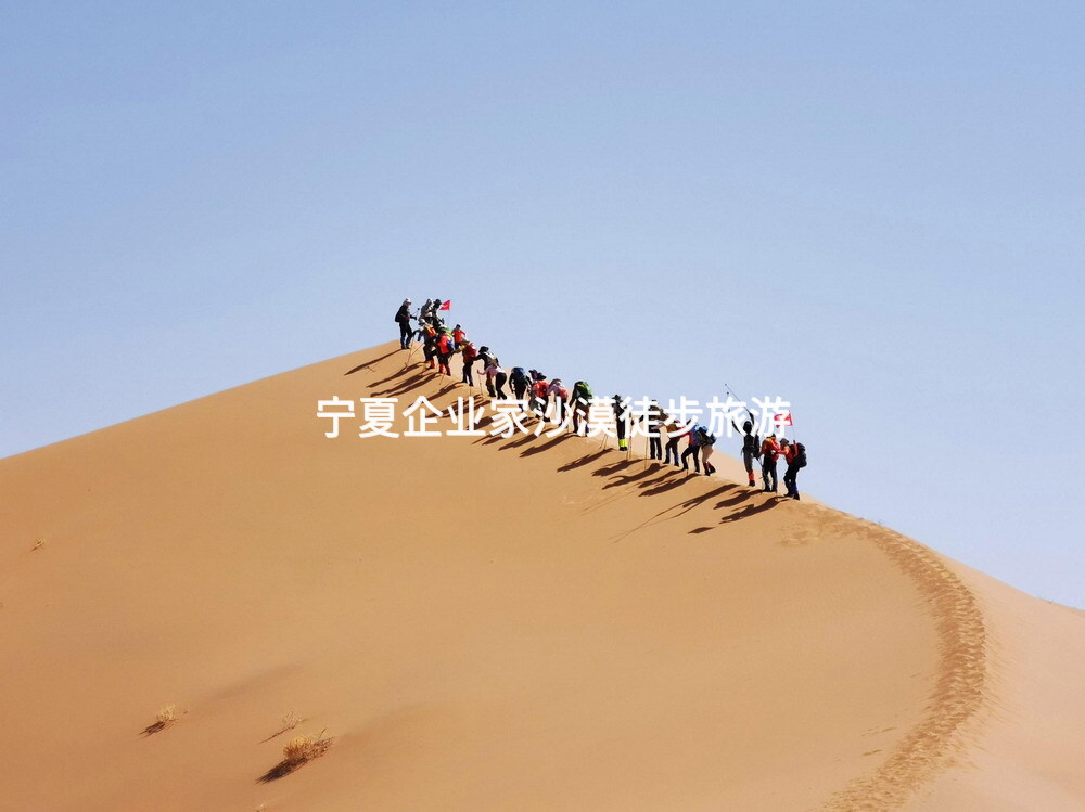 宁夏企业家沙漠徒步旅游