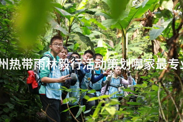 温州热带雨林毅行活动策划哪家最专业？_2