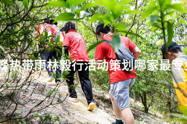 赤峰热带雨林毅行活动策划哪家最专业？_2