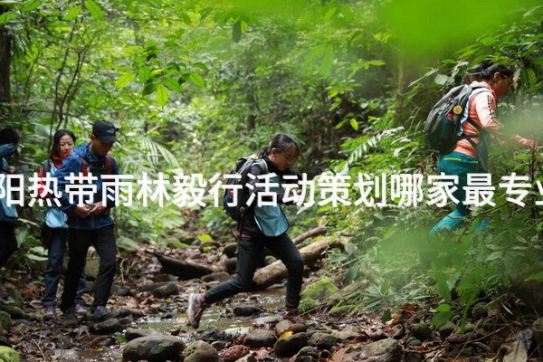 邵阳热带雨林毅行活动策划哪家最专业？