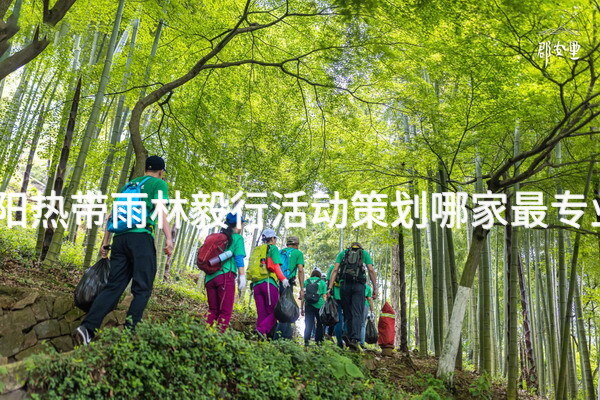 揭阳热带雨林毅行活动策划哪家最专业？