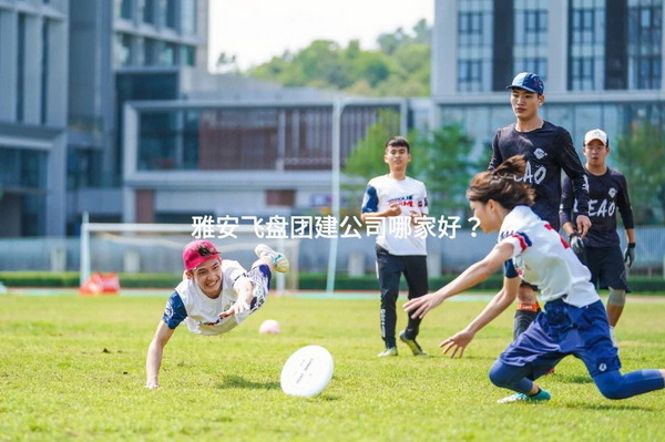 雅安飞盘团建公司哪家好？_2